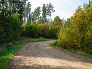 Fototapeta na wymiar gravel road in countryside summer nature