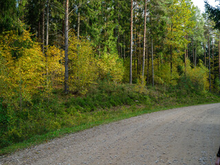 gravel road in countryside summer nature
