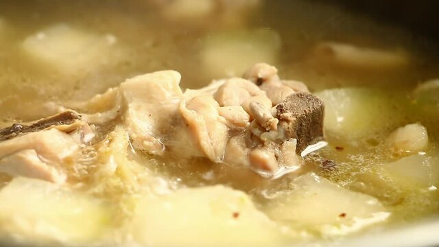 Cooking   winter melon soup with chicken  , in door Chiangmai  Thailand