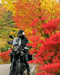紅葉ツーリング