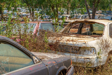 Cars used for illegal logging in Cambodia