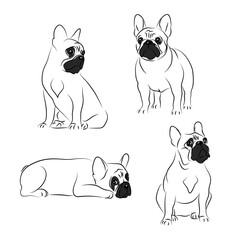 vector color french bulldog symbol sweet dog emblem pet sticker puppy mascot set collection