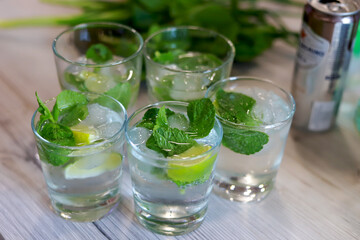mojito cocktail with mint