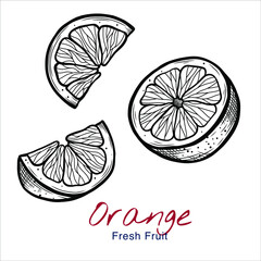 Vector sketch illustration of orange set drawing isolated on white. half, whole fruit. Engraved style. Ink. natural business. Vintage, retro object for menu, label, recipe, product packaging