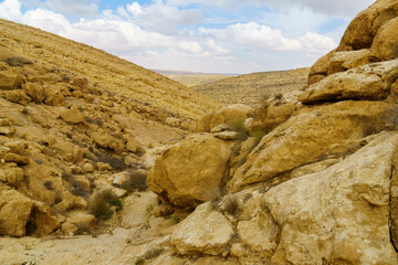 Obraz premium Wadi (desert valley) landscape in Yeruham ridge, the Negev Desert