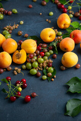 Fresh summer fruits on dark healthy food concept