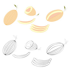 An outline vector illustration of melons set of melons isolated on transparent background. Designed in yellowish, pink, orange, black and white colors as a coloring book page