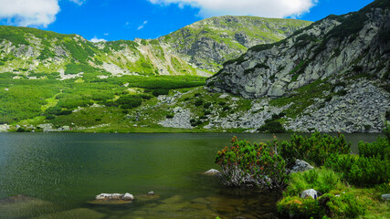 Fototapeta na wymiar Galcescu glacier lake surrounded by mountain juniper bushes. The rocky glacier cauldron is located in Parang Mountains, Romania
