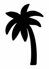 black and white flower. big leaf palm