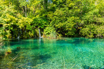 Landscape of Plitvice Lake National Park, view of its crystal water