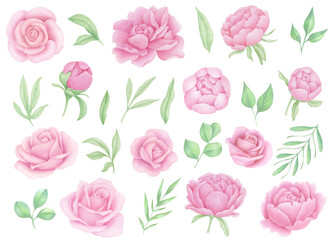 Watercolor Pink Peony Clipart. Peonies and rose flowers