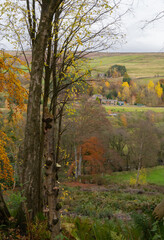 View to Eals in Northumberland from the South Tyne Trail in autumn