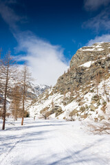 Snowy landscape in Pian della Mussa mountain, Piedmont, Italy