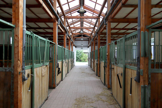 Rural horse stable for horse breeding indoors