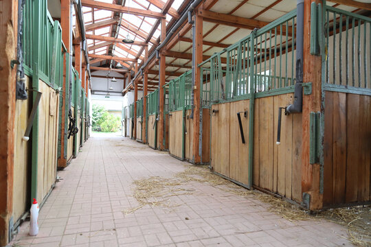 Barn stable for horse breeding indoors
