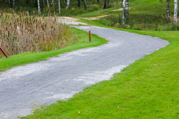 Golf course, landscape, green grass on the background of the forest and a bright sky with clouds. High quality photo