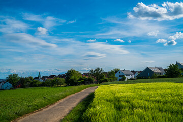 Fototapeta premium Germany, Dreamy houses and church steeple of village ostfildern kemnat behind curved way and green fields in summer
