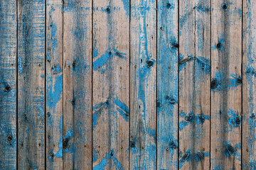 Fototapeta na wymiar Old wooden background with blue peeling paint.