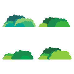 image of a bush on a white background, vector illustration