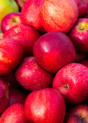 Close up view of fresh, ripe York apples