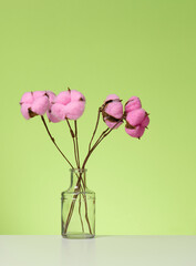 glass transparent vase with a bouquet of pink cotton flowers on a white table, green background