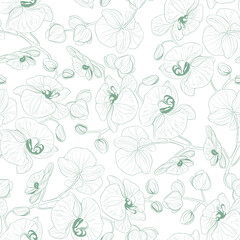 Tropical seamless pattern on white background.
