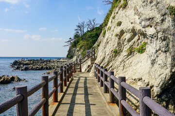 荒崎　荒崎公園　荒崎海岸（神奈川県横須賀市）