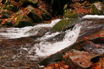 Carpathian mountain waterfall Shypot. Autumn landscape with a waterfall. Close-up of water