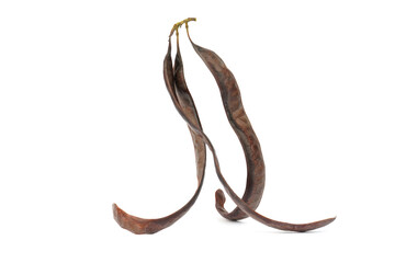 acacia pod fruit isolated on white background