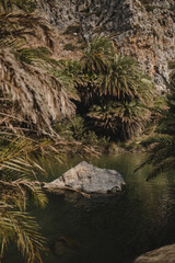 The rock in the wide shallow river between the mountains and palm forest
