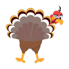 Funny Thanksgiving Turkey bird cartoon character illustration