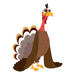 Funny Thanksgiving Turkey bird cartoon character vector illustration