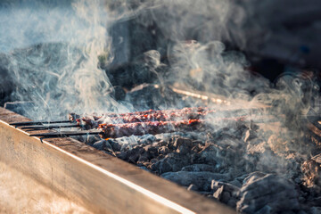 Grilled Adana kebabs  on bbq with smokes, close up