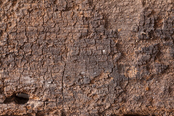 Background texture old  wooden board.