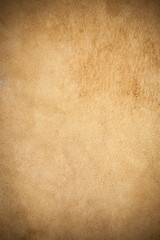 Kangaroo leather closeup background.