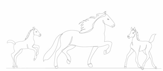 Naklejka na ściany i meble horse and foal one continuous line drawing vector, isolated