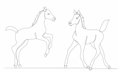 Fototapeta na wymiar foal drawing one continuous line