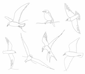 birds fly set one continuous line drawing vector, isolated