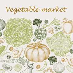 Vector template with graphic colored vegetables. Avocado, cabbage, cauliflower, mushrooms, broccoli, tomato, paprika, artichoke, corn, onion, chili pepper, Brussels sprouts, pumpkin, cucumber, carrot