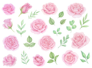 Watercolor Pink Roses Clip Art, Pink Blush Light Floral Clip art, Wedding Roses