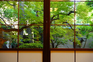 View outside of Japanese Shoji window - 障子 日本家屋 外の景色
