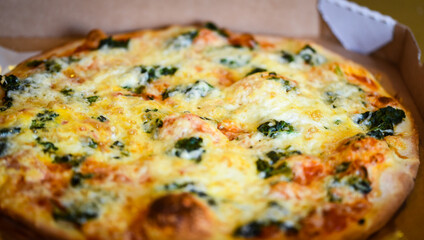 fresh home made italian pizza 