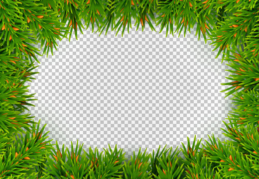 rectangular frame made of fir branches vector