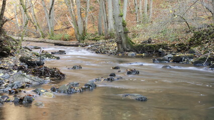 Im Dhrontal bei Gräfendhron