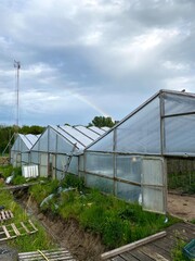 Obraz premium greenhouse made from plastic an wood in countryside 