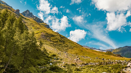 Beautiful alpine summer view at the famous Grossglockner high Alpine road, Kaernten, Salzburg, Austria