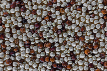 Close-up of quinoa grains, assorted red and white varieties, healthy eating concept and traditional european and asian food
