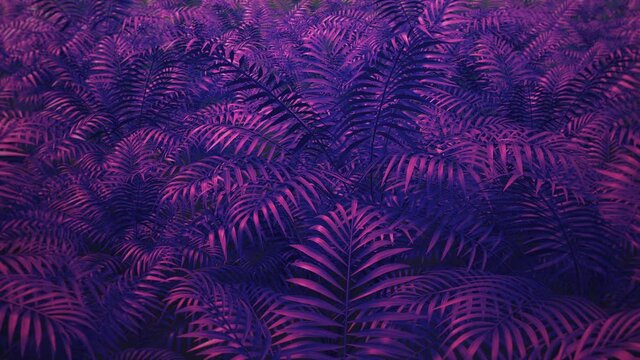 Leaves, grass, branches dynamic motion. Camera moves along botanical floral background. Tropical plants. Spring summer mood. Retro wave style colors, 80s 90s style 3D Render 4K seamless loop animation
