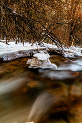 stream in the forest
