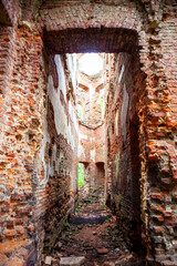 Naklejka premium Ruins of Potemkin's palace. Inside view. Manor of Gostilitsa. The village of Gostilitsy. Lomonosov district. Leningrad region. Russia